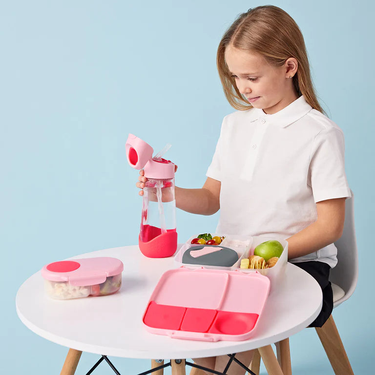 Lunchbox - Flamingo Fizz