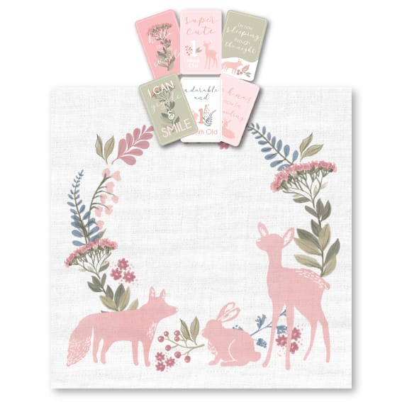 Earth Spirit Milestone Muslin Box Set