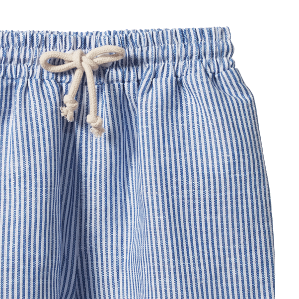 James Shorts Linen Blue Stripe
