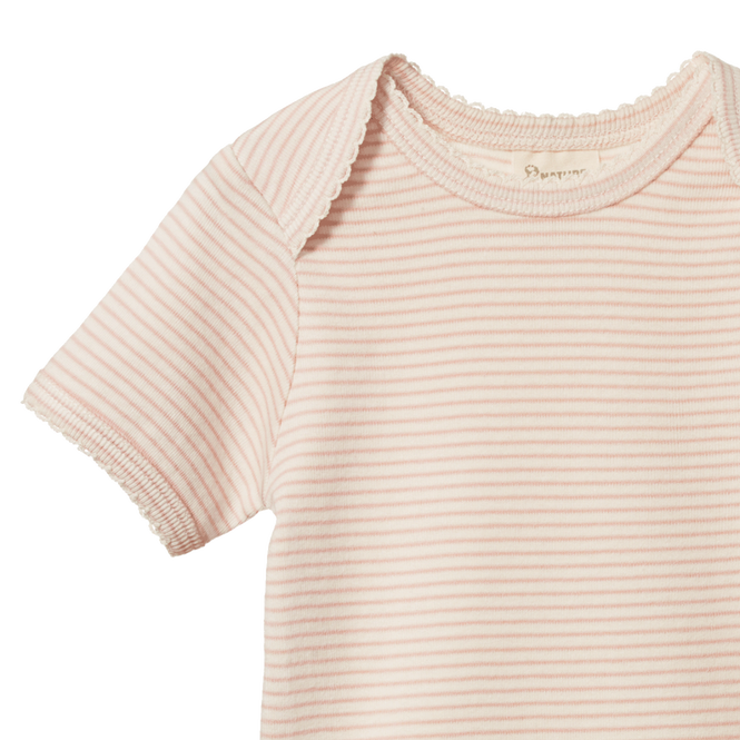 Cotton Short Sleeve Bodysuit - Rose Dust Pinstripe