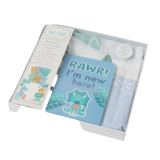 Dinosaurs Milestone Muslin Box Set