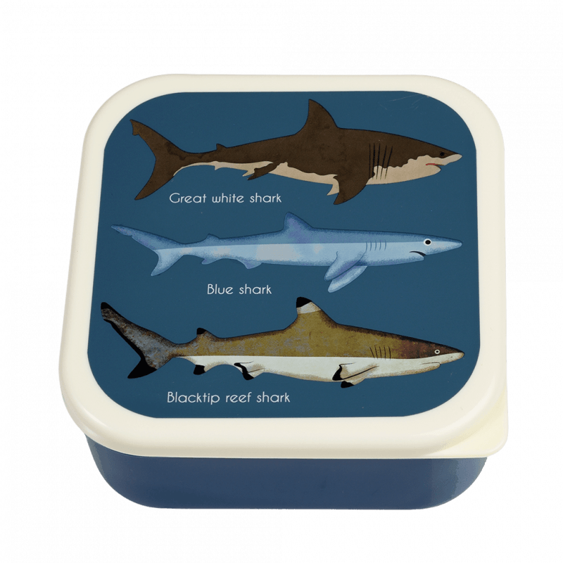 Snack Boxes, set of 3 - Sharks